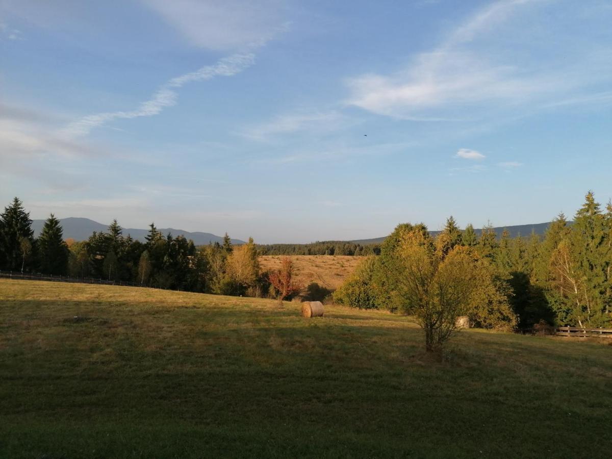 Beechtree Property Ізвоаре Екстер'єр фото